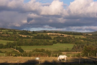  Mini Ranch nell'Alvernia